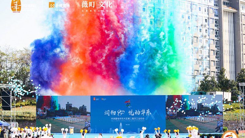 短视频代运营：效果评估与优化路径